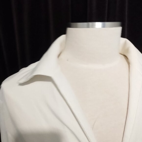 Cider Retro-Inspired China Print Dress - Picture 5 of 7